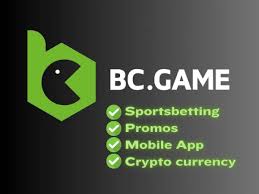A Comprehensive Guide to Betting on BC Game
